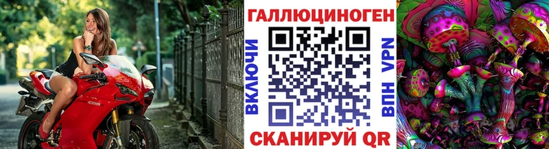 МЕГА как войти  Воронеж  Псилоцибиновые грибы MAGIC MUSHROOMS  как найти закладки 